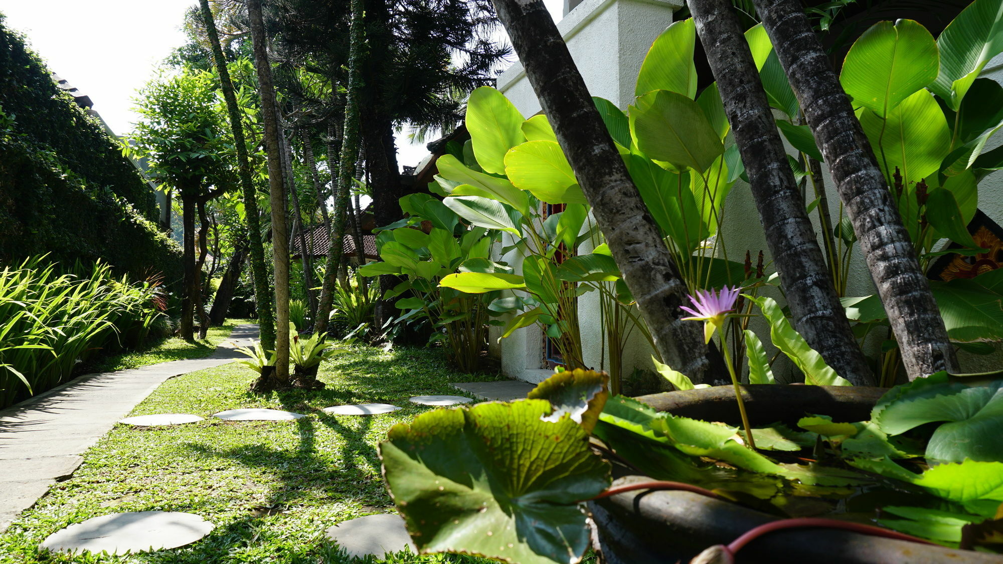 Sanur House Hotel Exterior photo